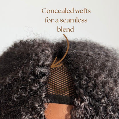 Signature V-Part Wig
