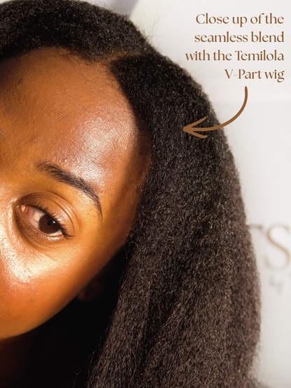 Signature V-Part Wig